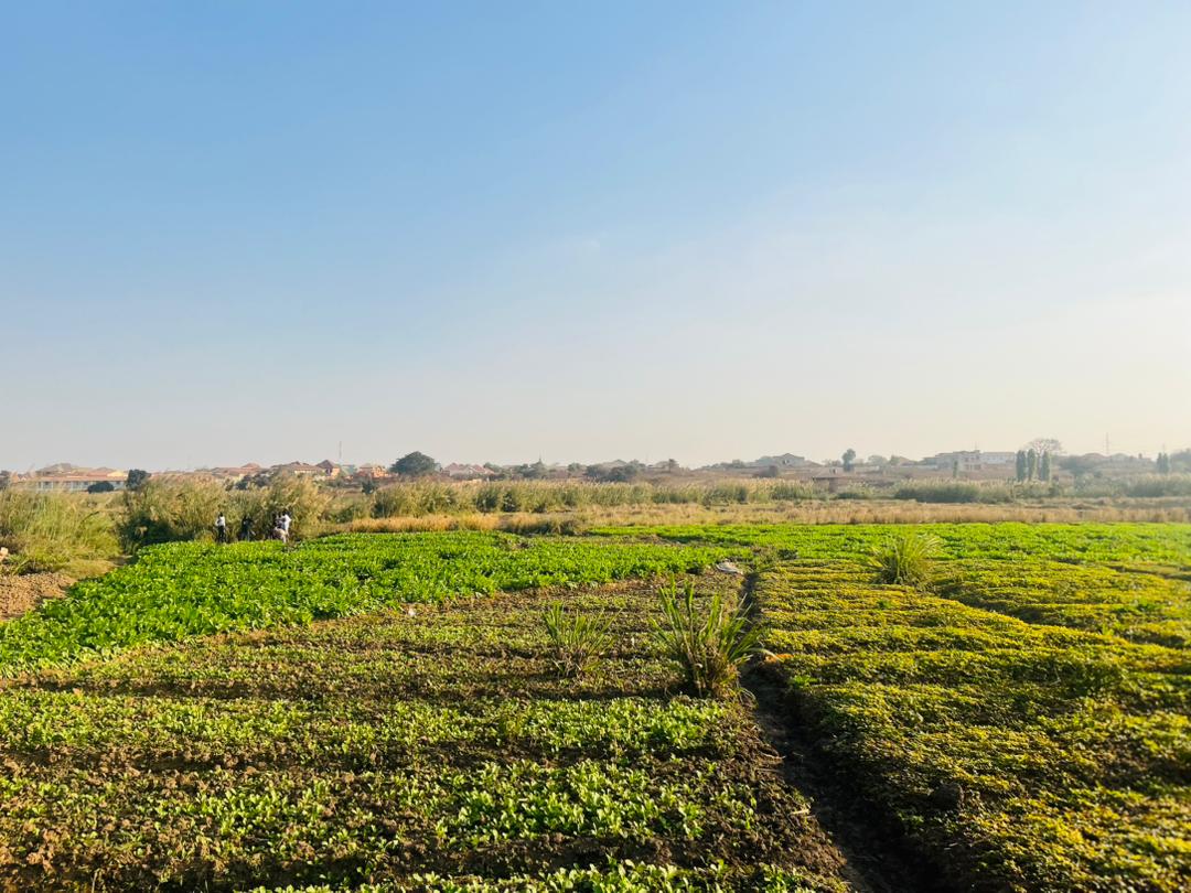 Consultation agricole