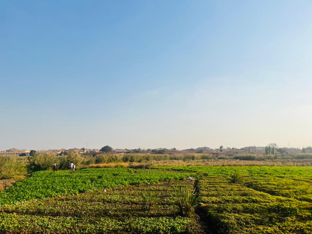 Accompagnement technique