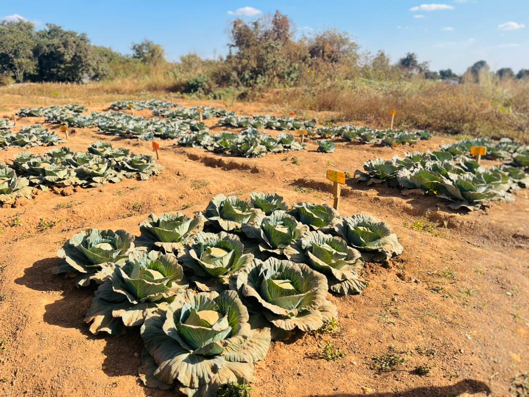 Vente de produits agricoles