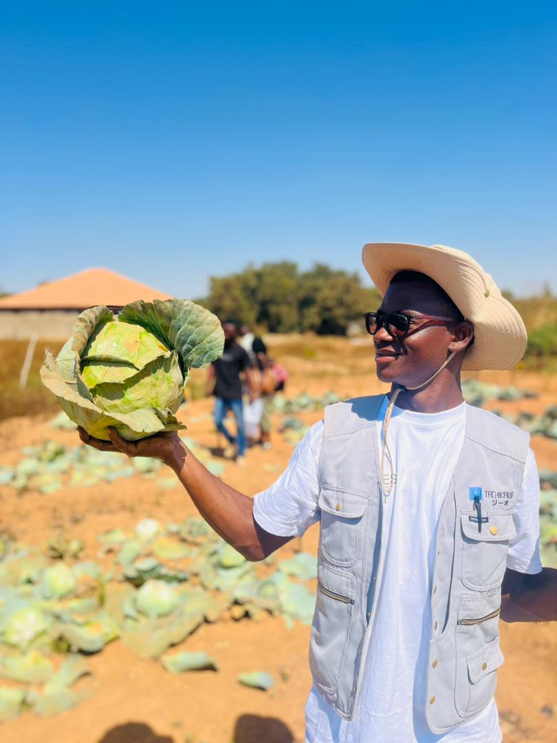 Équipe Green Light SARL